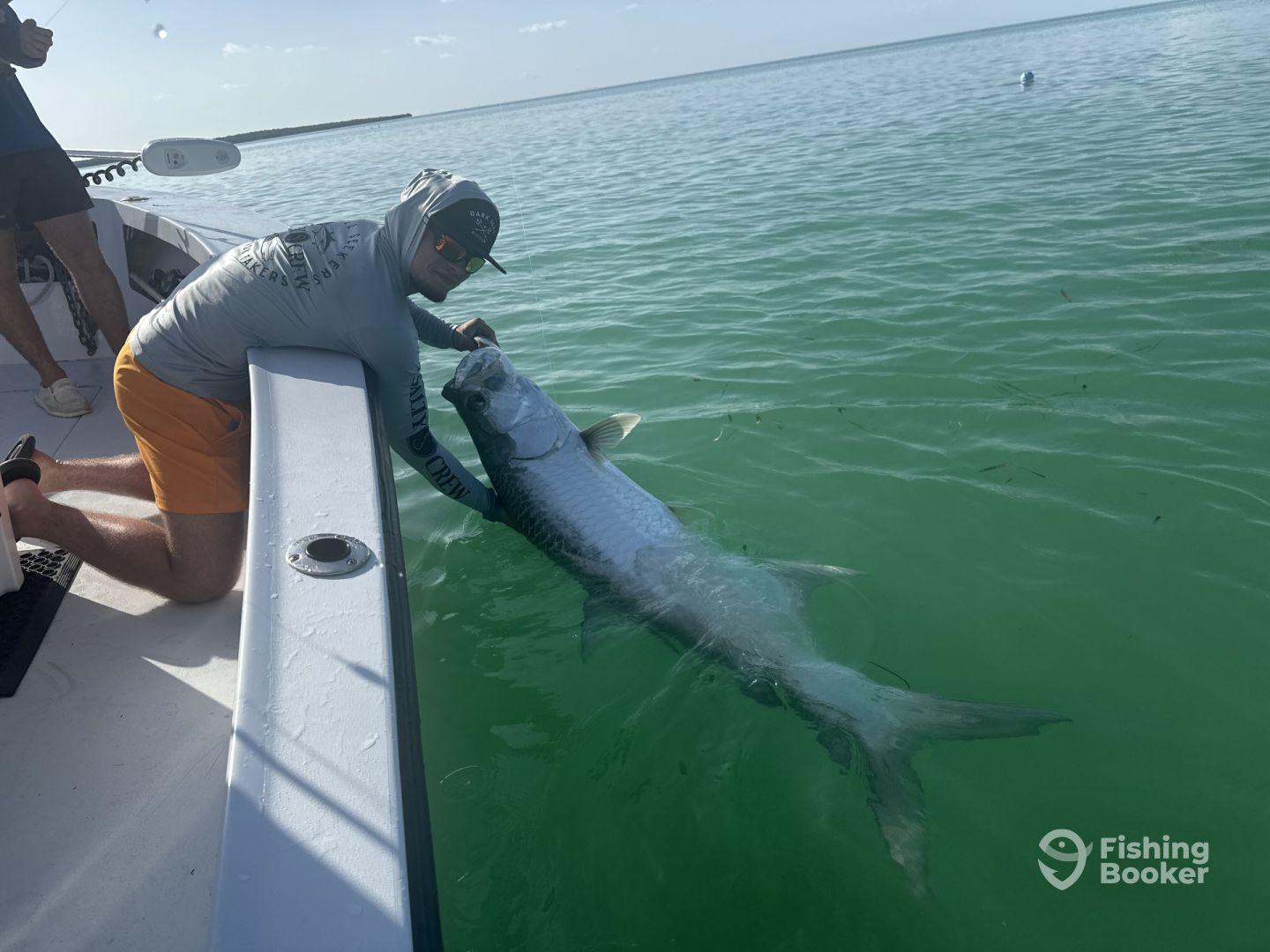 Tarpon Fishing Dreams came true!!