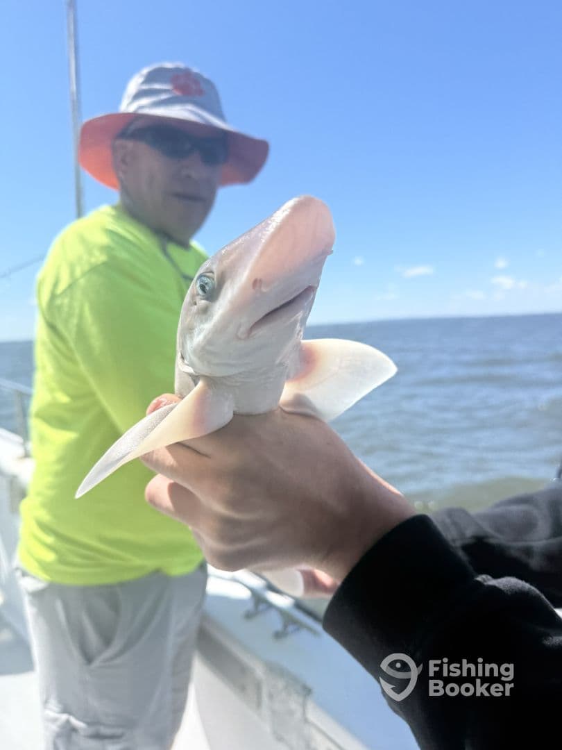 An angler proudly displaying a caught shark while fishing on a boat, with clear blue skies and water in the background.