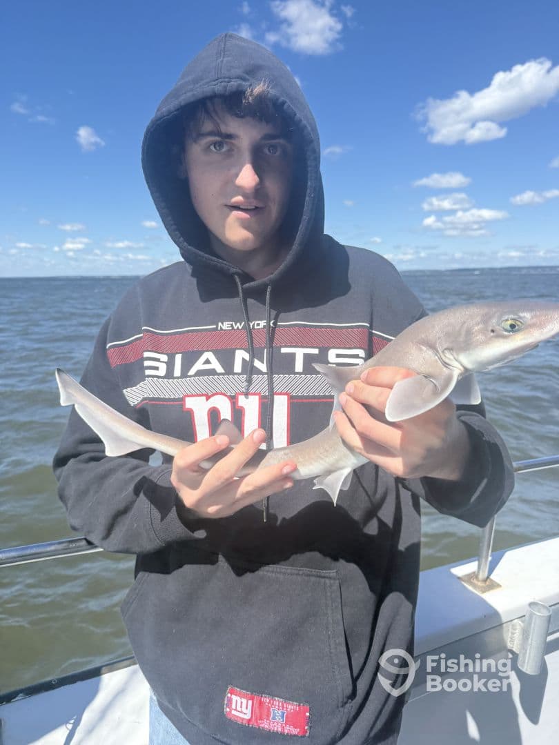 A young angler proudly displaying a caught shark while fishing on a boat, showcasing a sunny day on the water.
