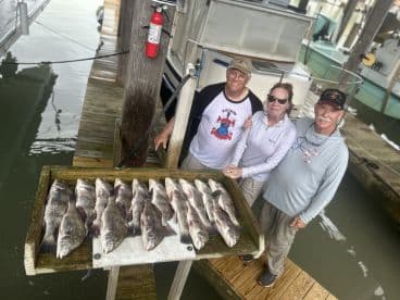 A group of three anglers proudly displaying their catch of several Speckled Trout on a catch board at the dock.