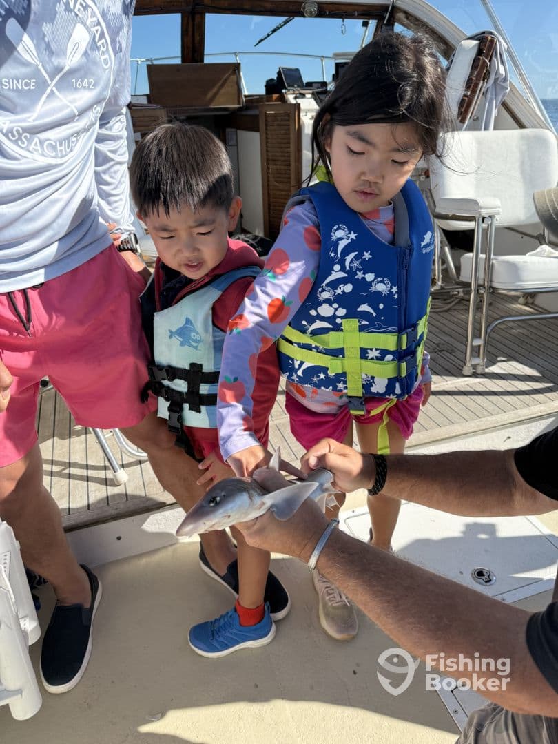 Two young children on a boat excitedly touching a small shark, showcasing a fun fishing experience.