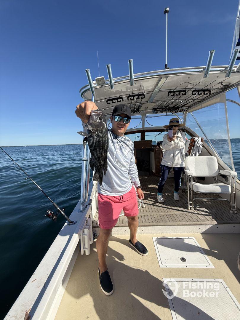 An angler proudly displaying a Black Sea Bass on a fishing boat, enjoying a sunny day on the water.