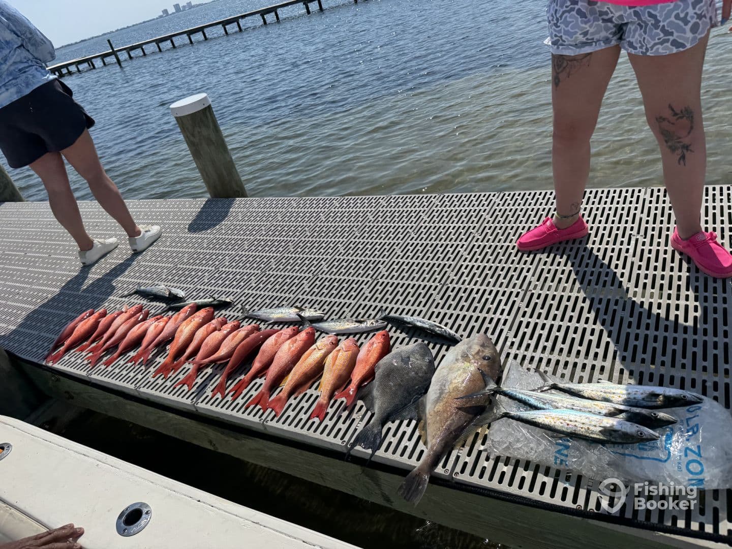 A variety of fish, including Snapper and Mackerel, displayed on a dock after a successful fishing trip.