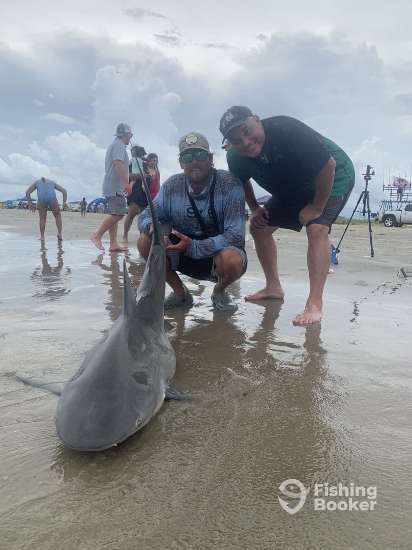 Two anglers proudly displaying a caught shark on the beach, surrounded by a lively group of beachgoers.
