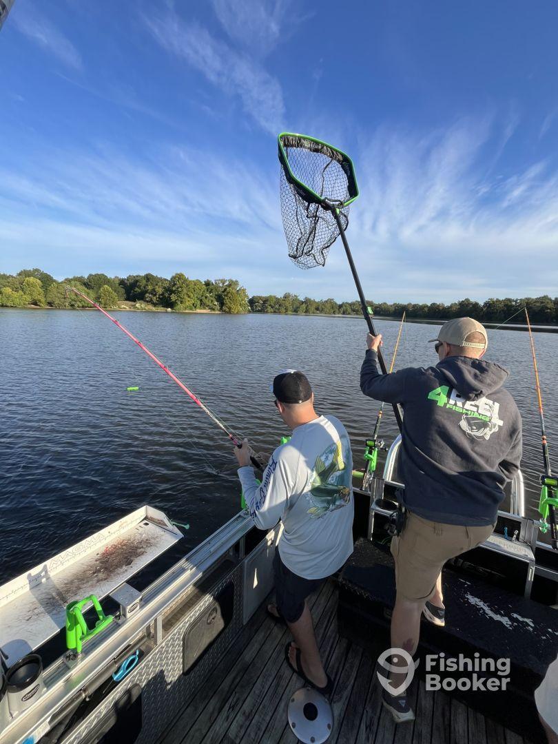 The Best Catfish Experience