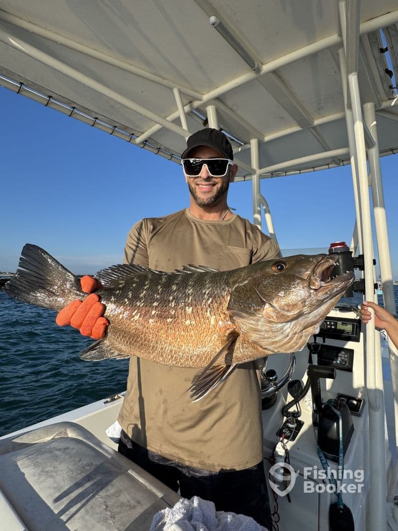 Angler proudly displaying a large Grouper on a boat during a fishing trip.