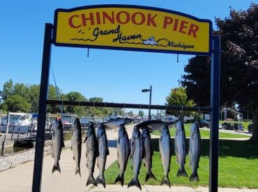 A display of freshly caught salmon hanging at Chinook Pier in Grand Haven, Michigan, showcasing a successful fishing trip.