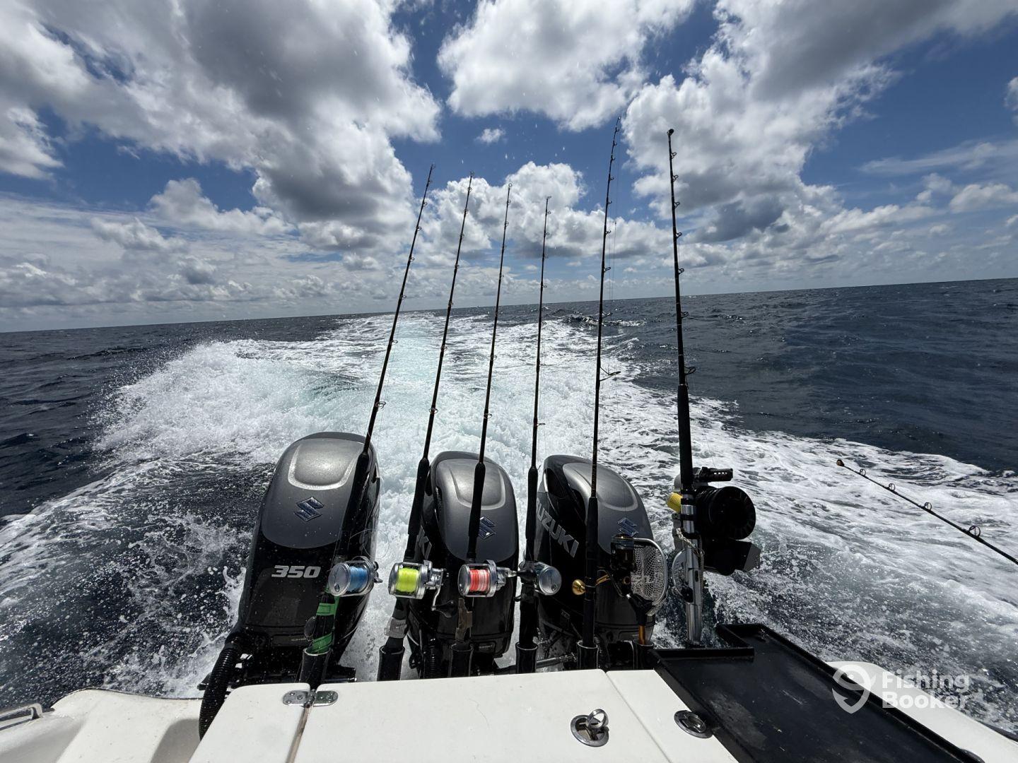 5 stars and then some!!! 