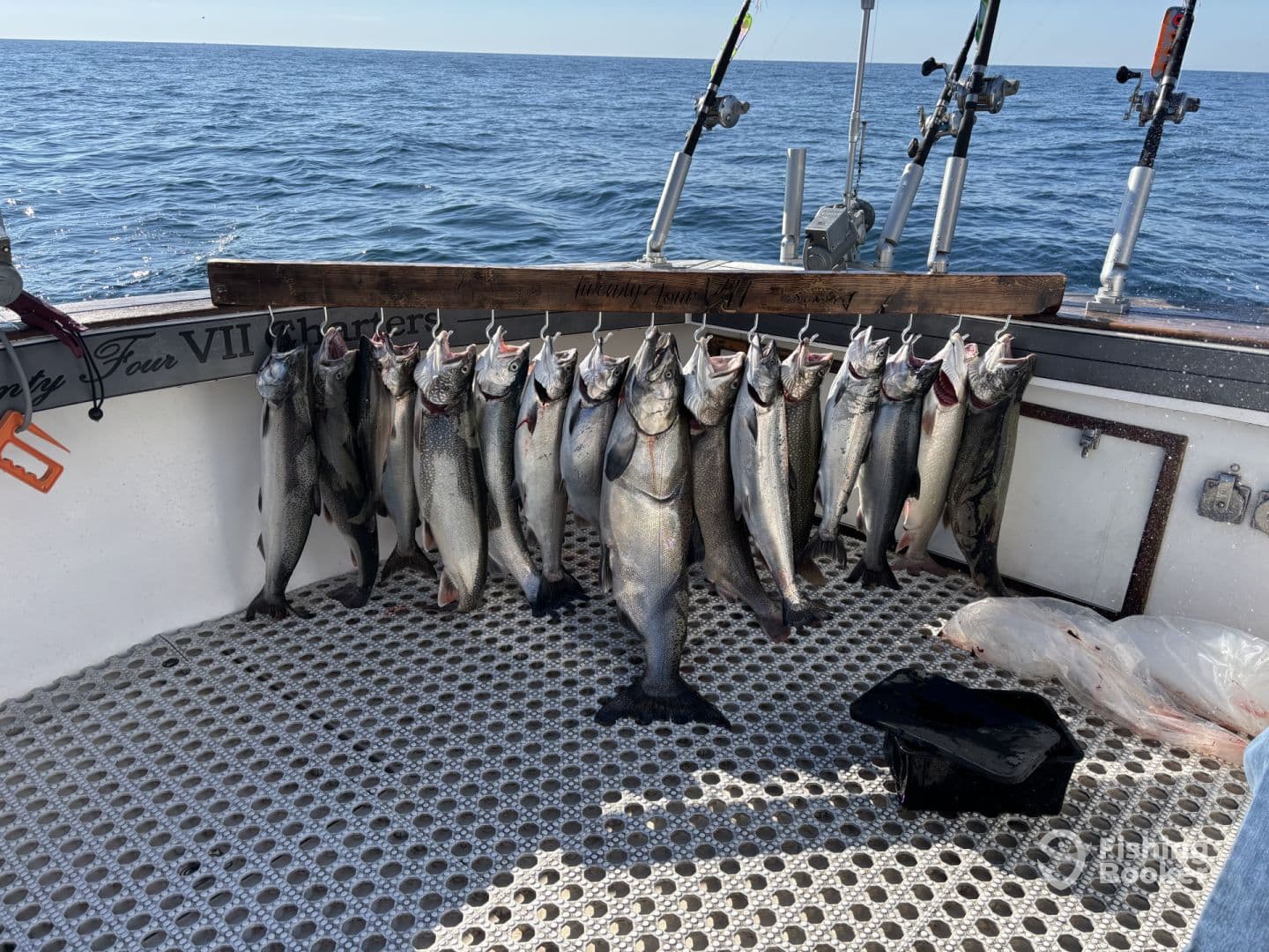 A successful fishing trip showcasing a variety of salmon species neatly arranged on a catch board aboard a charter boat.