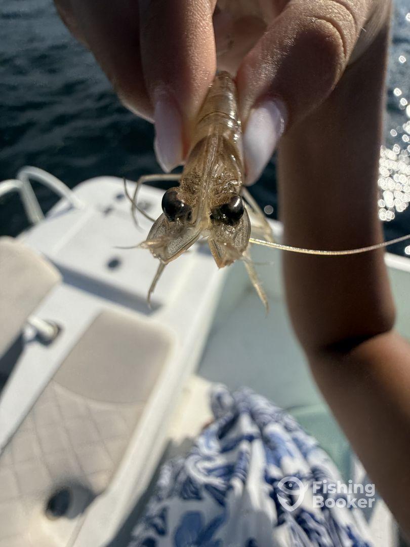 Hooked on a Feelin’, and Also a Spanish Mackerel 