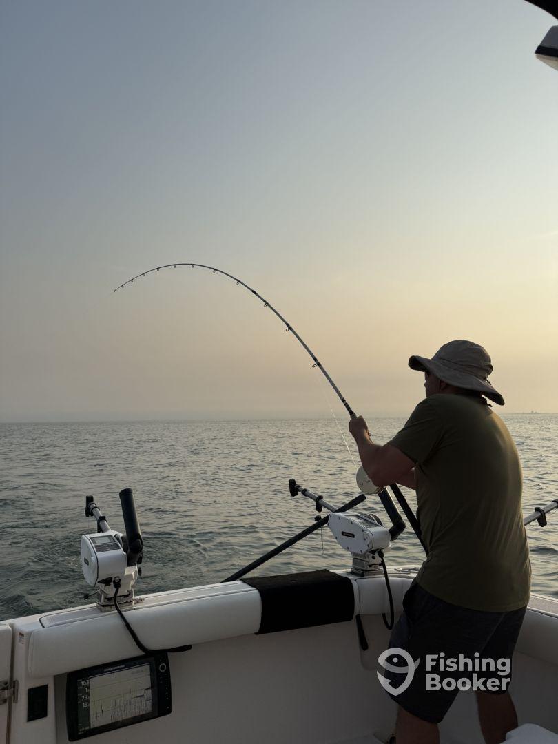 We had an amazing day trip and caught many fish