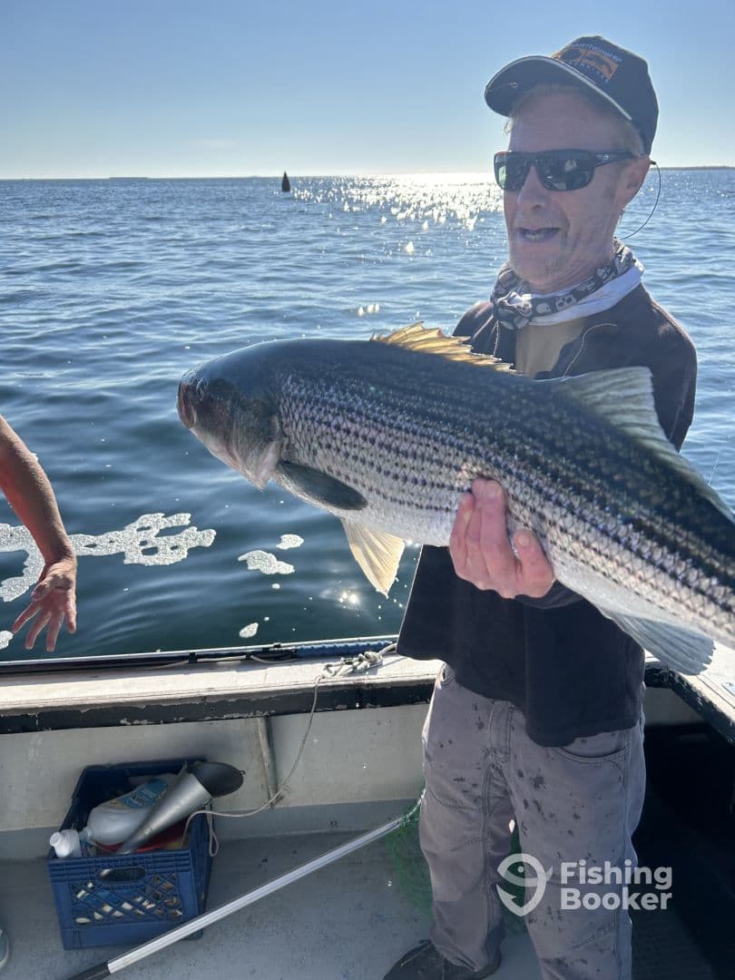 An angler proudly displaying a large Striped Bass while fishing on a sunny day.