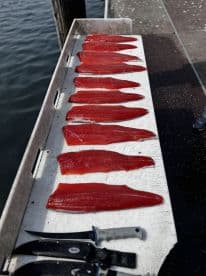 Freshly filleted salmon laid out on a cleaning table at the dock, showcasing the vibrant red flesh ready for storage or cooking.