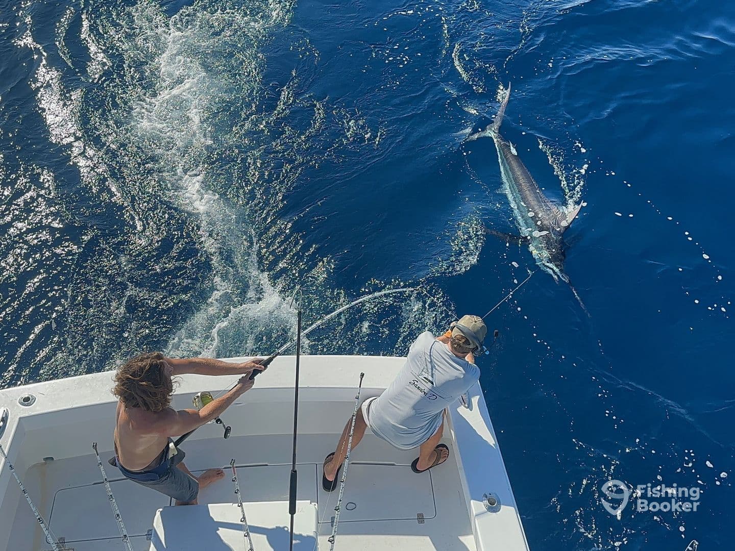 Two anglers engaged in an exciting fight with a billfish while deep-sea fishing in clear blue waters.