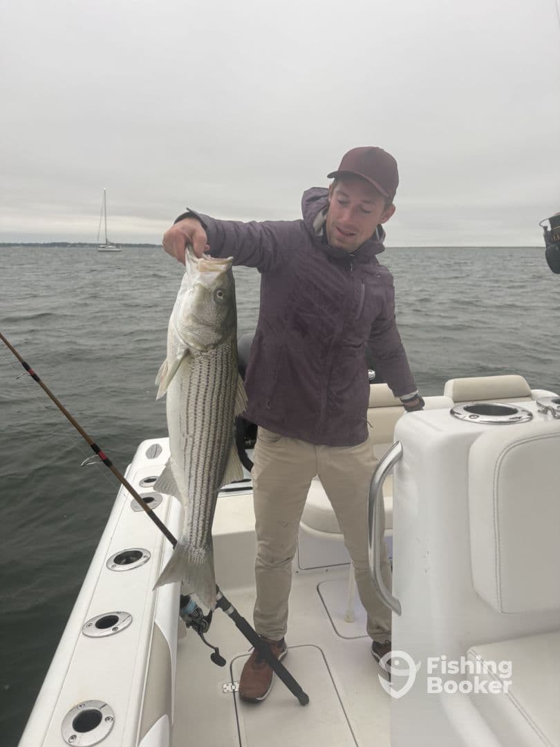 Angler displaying a large Striped Bass while fishing from a boat in overcast conditions.