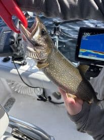 A young angler proudly displaying a freshly caught Lake Trout while fishing on a boat.