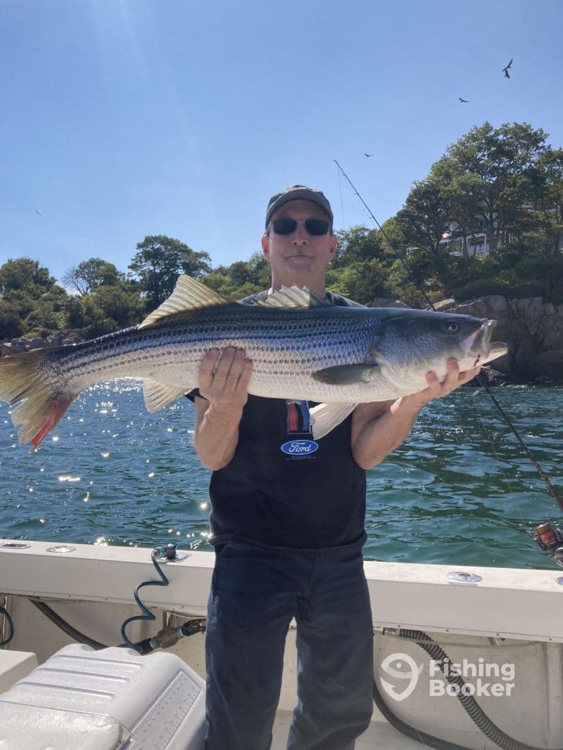 An angler proudly displaying a large Striped Bass while fishing on a sunny day, with a scenic backdrop of trees and water.