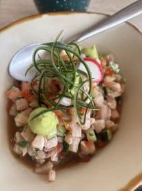 A vibrant dish of ceviche featuring diced fish, fresh vegetables, and garnishes, showcasing a culinary delight often enjoyed after a fishing trip.