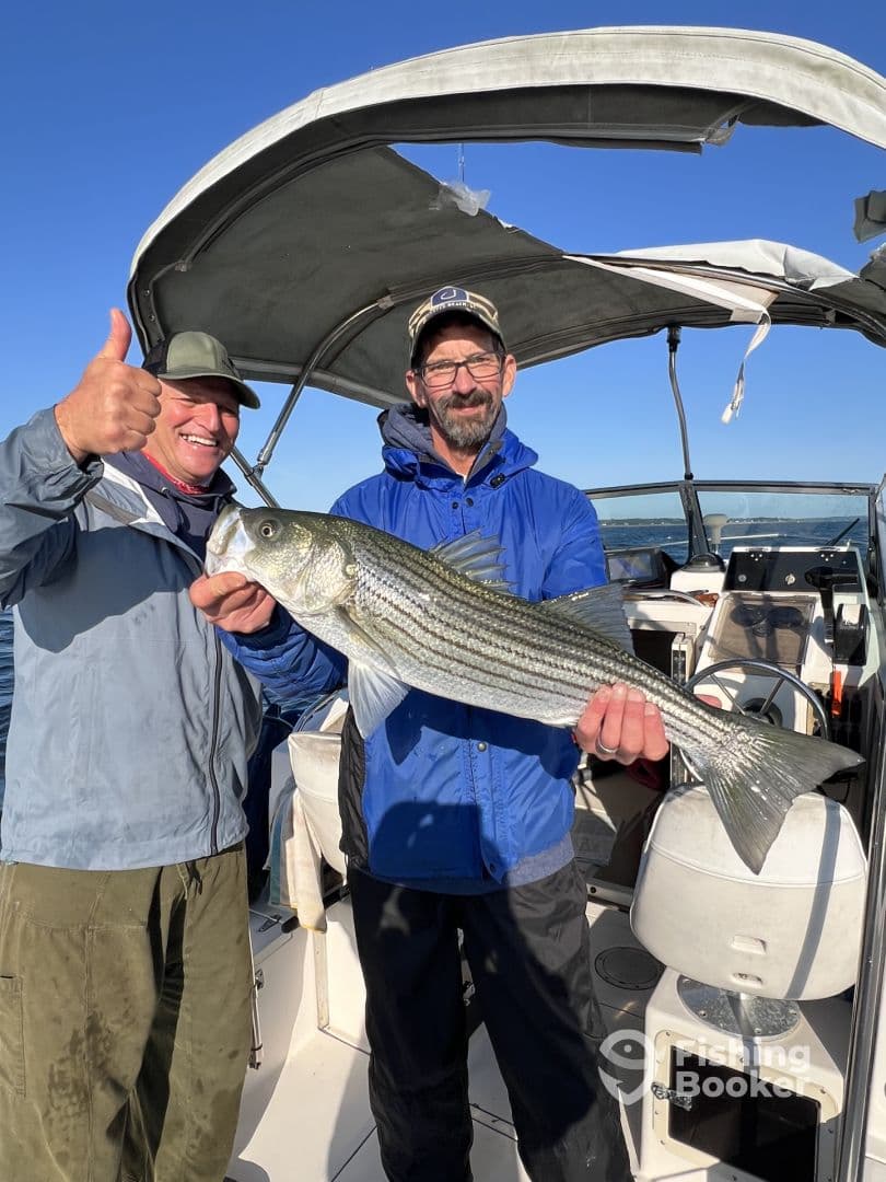 Two anglers proudly displaying a large Striped Bass aboard a boat, showcasing a successful fishing trip.