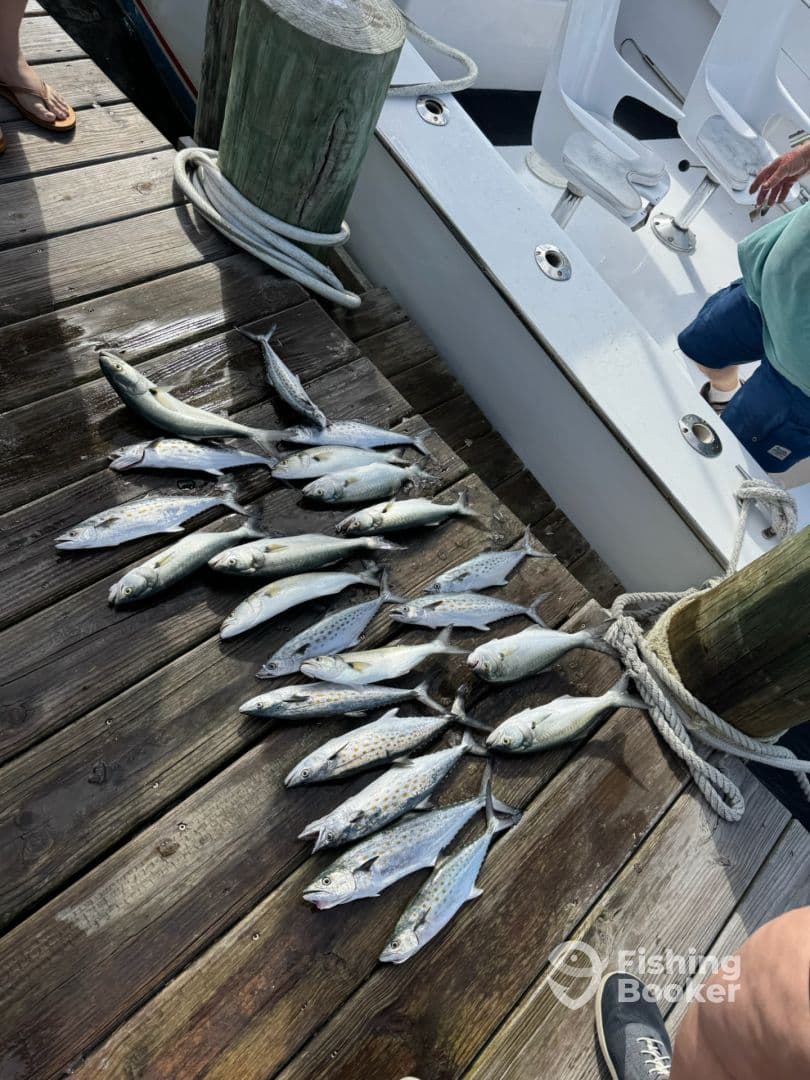 A variety of fish, including speckled trout, displayed on a dock next to a fishing boat, showcasing a successful day on the water.