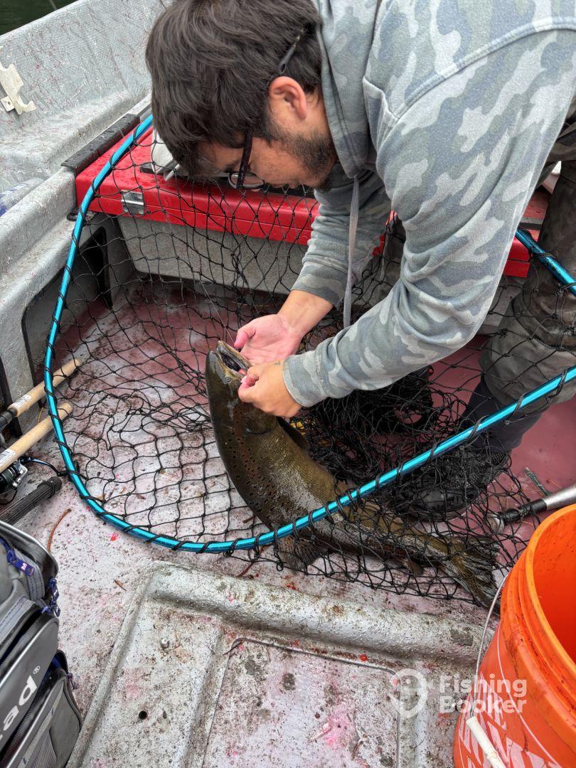 Kings and Cohos- Awesome Day