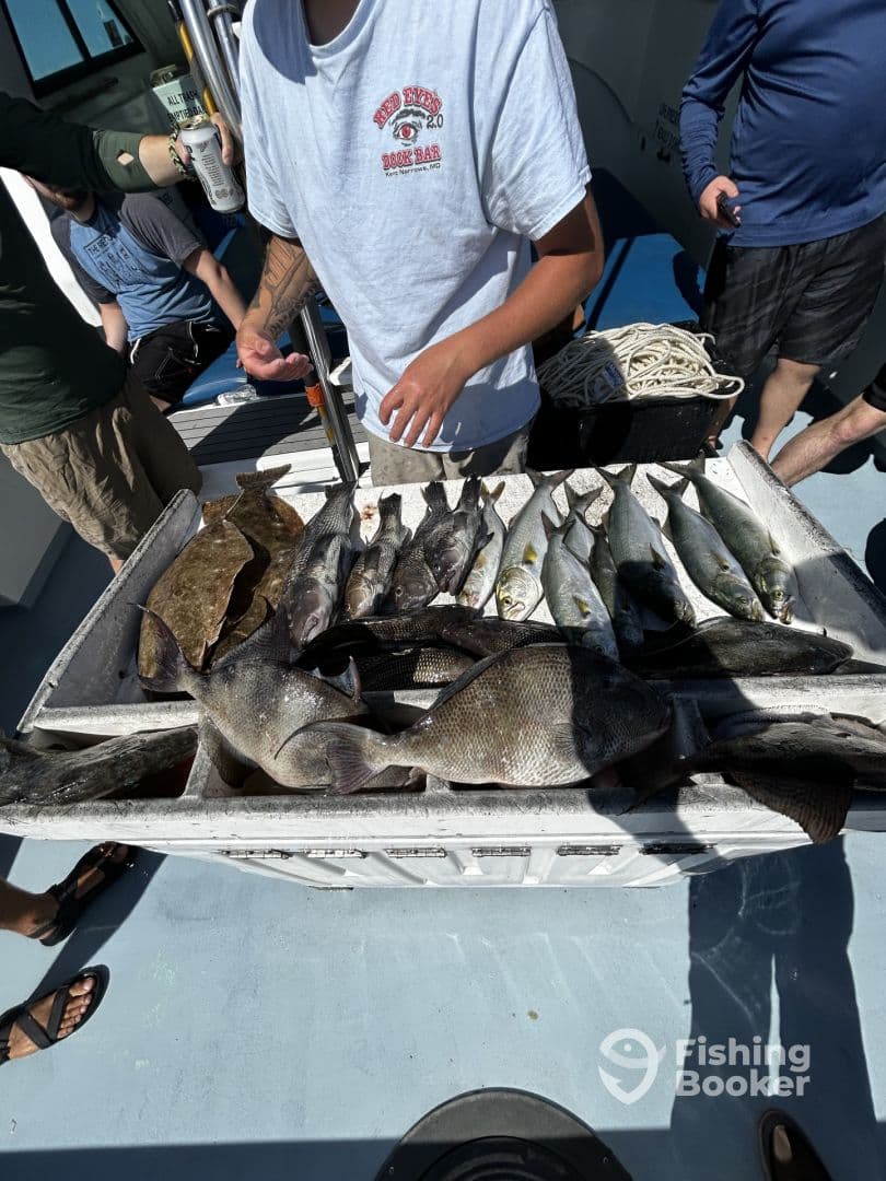 A variety of fish including Snapper and Grouper displayed on a cleaning table aboard a fishing charter, showcasing a successful day on the water.