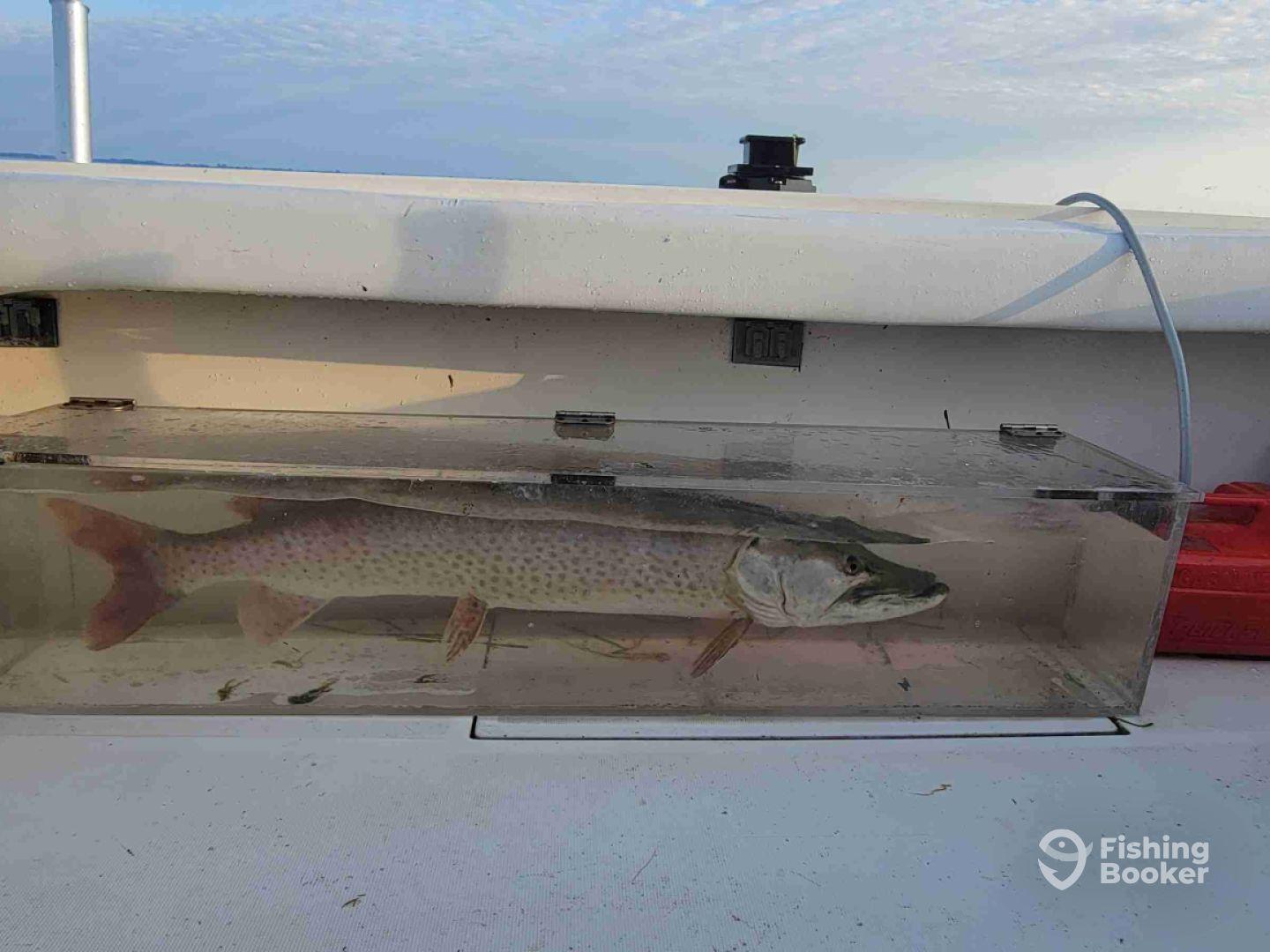 September fishing trip