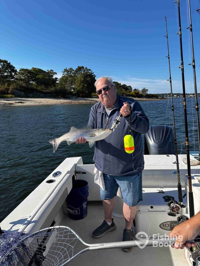 An angler proudly displaying a striped bass while fishing from a boat, with a scenic shoreline in the background.