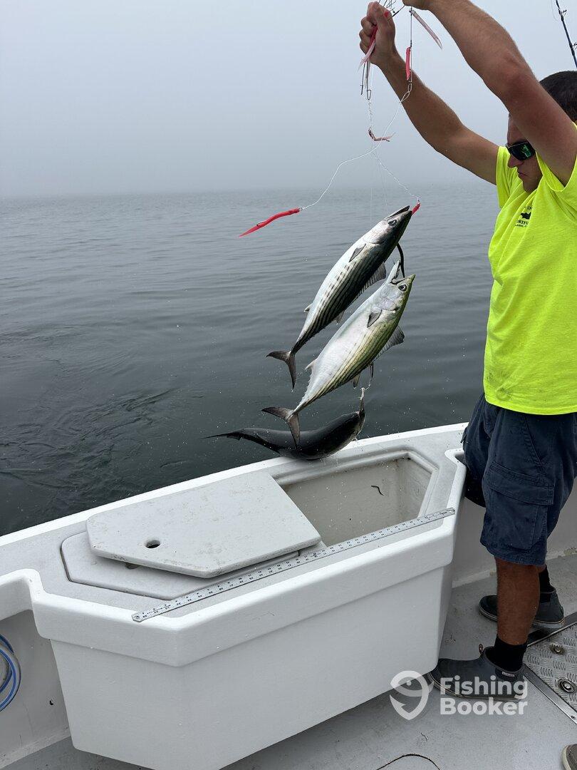 Another banger of a day on the Triton