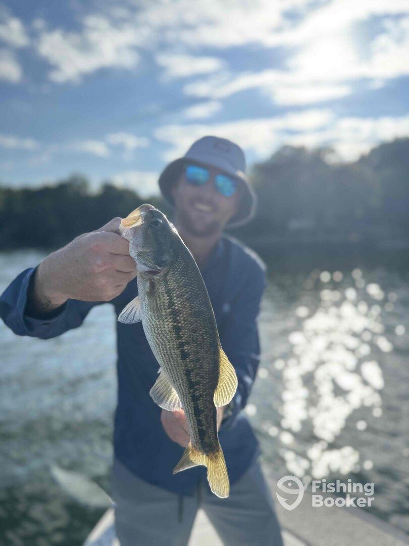 Great afternoon session with Price 