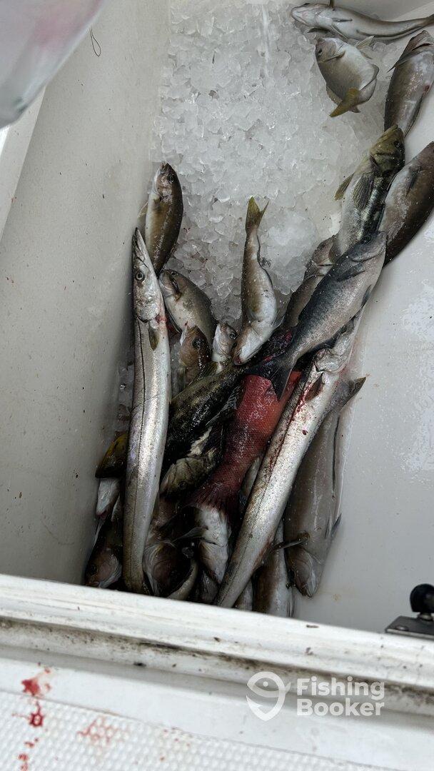 Great Boat Skipper and deckhand Rob