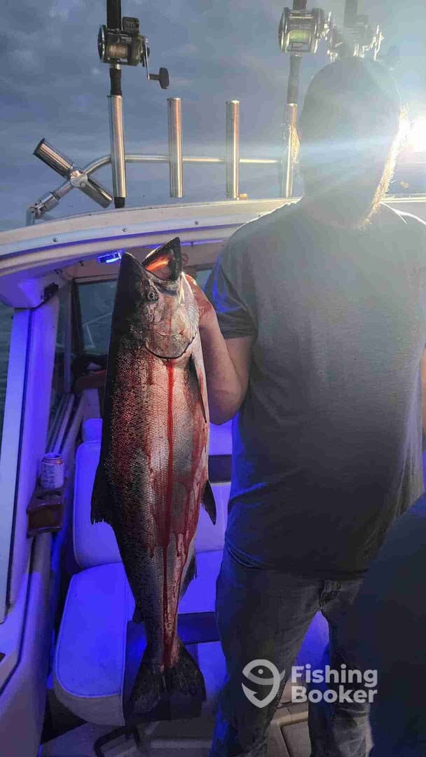 Angler holding a large Salmon aboard a boat, showcasing a successful catch during an evening fishing trip.