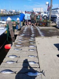 A group of anglers proudly displaying their catch of multiple fish on a dock, showcasing a successful day of fishing.