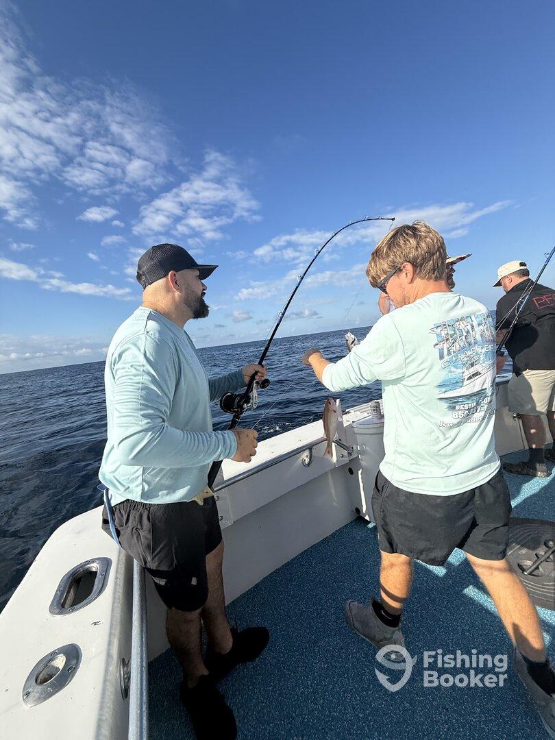 Positive experience from start to finish