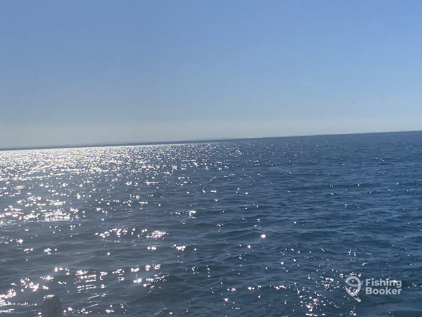 First time chartered fishing 