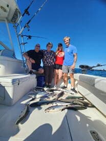 A group of four anglers posing on a boat with a variety of fish laid out on the deck after a successful fishing trip.