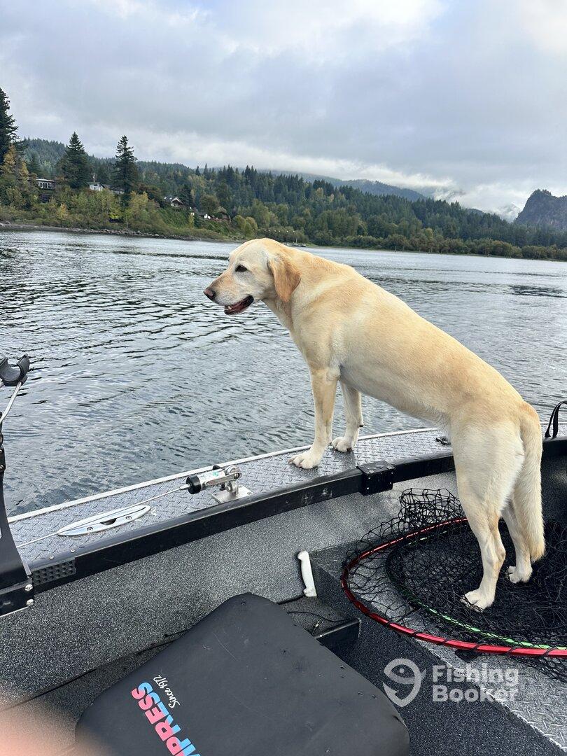 Absolutely amazing trip