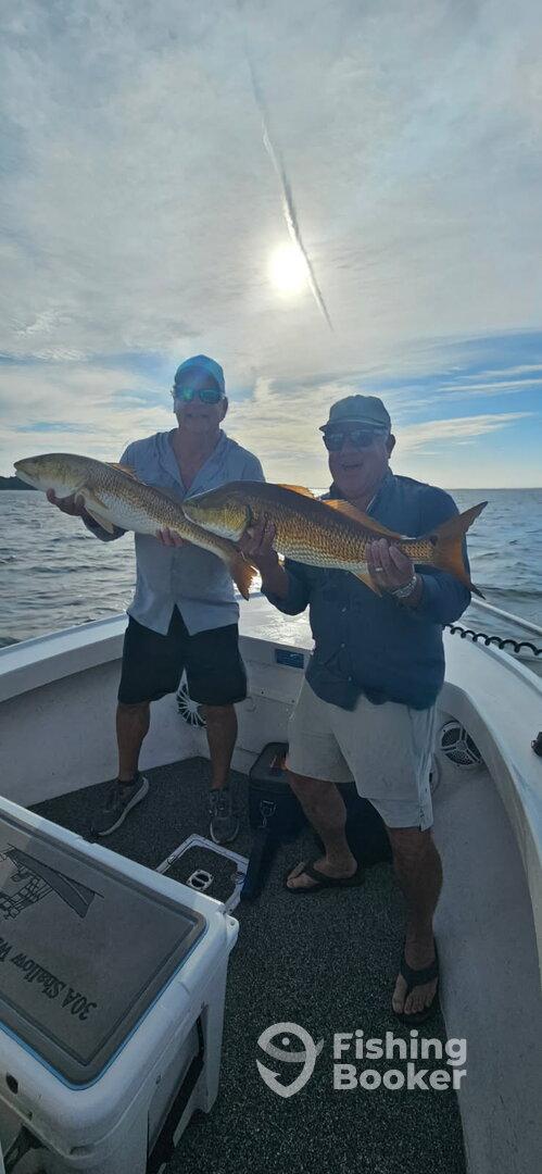 Best Guide we have had. 