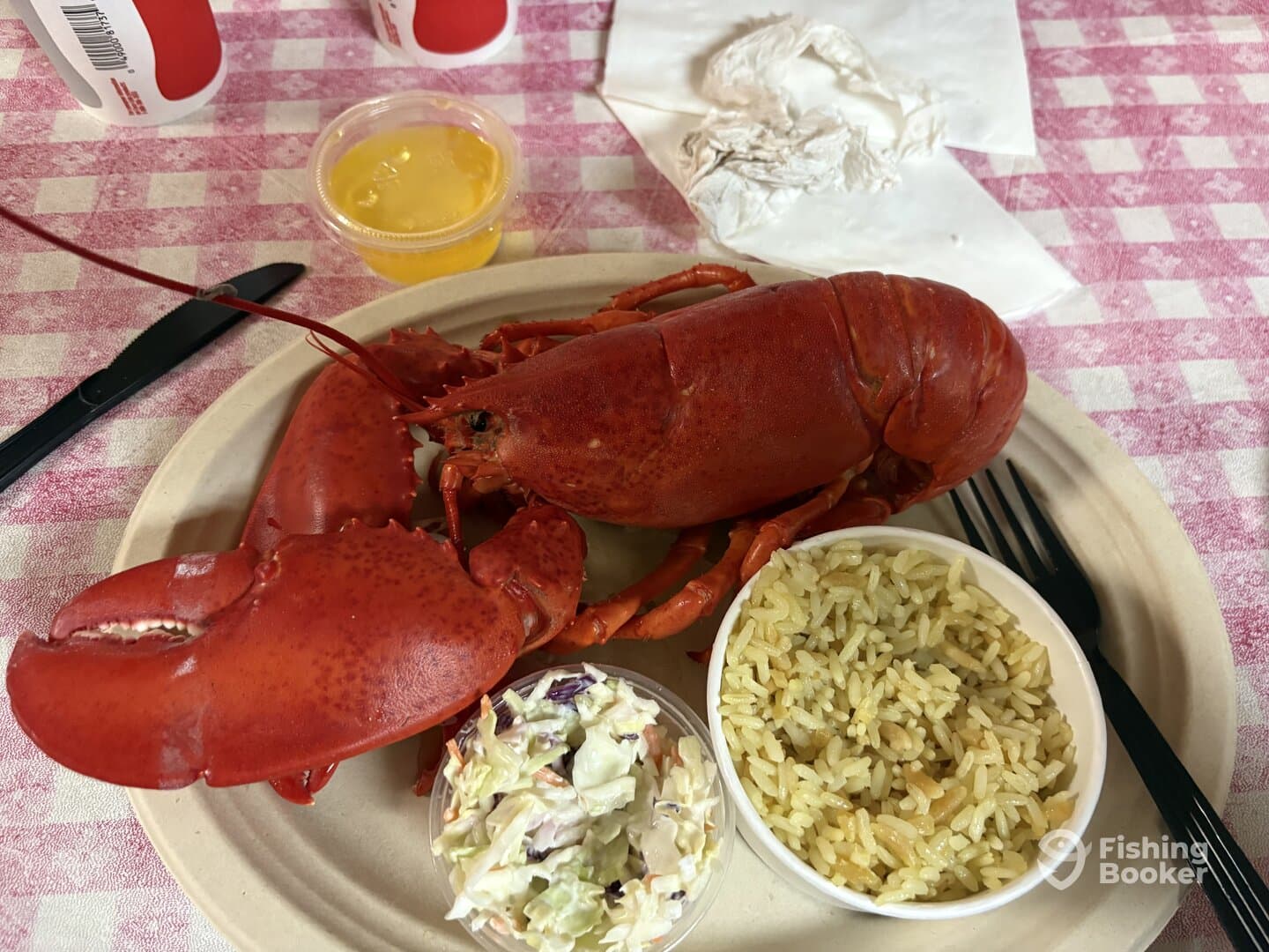 A plate featuring a cooked lobster, rice, and coleslaw, set on a checkered tablecloth, suggesting a casual dining experience.