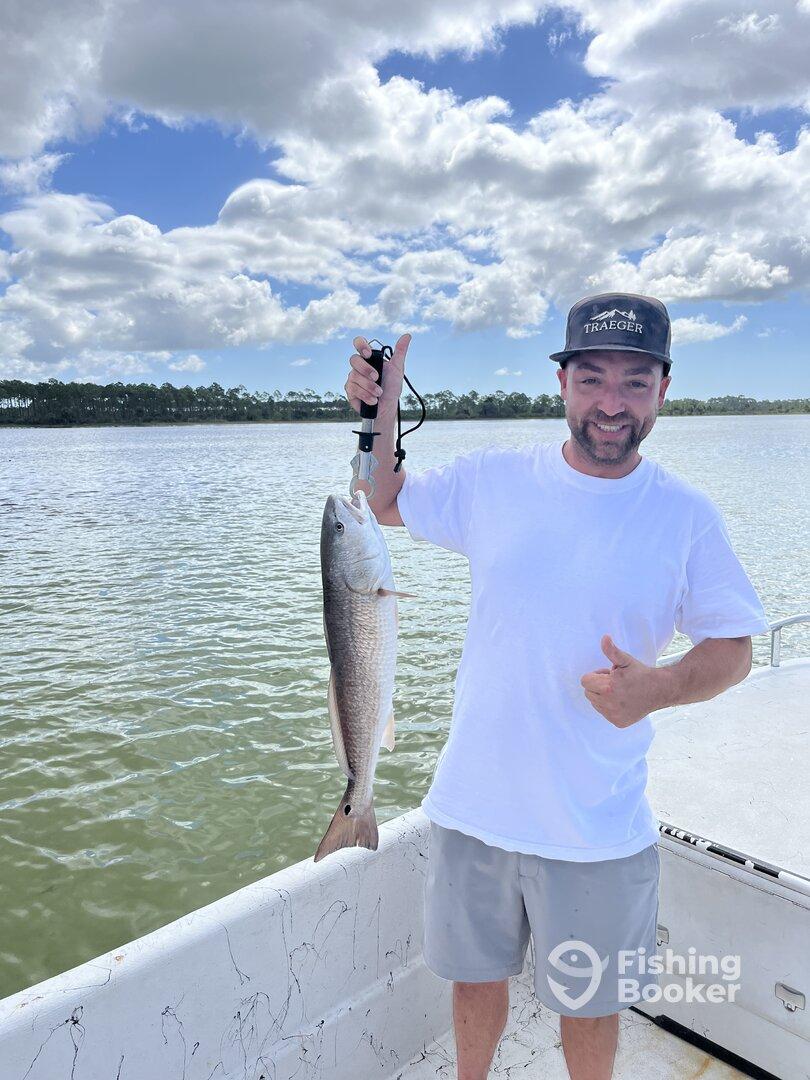 Great Trip will do it again