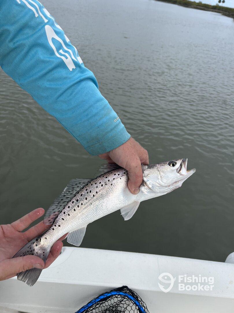Beautiful afternoon on the water. 