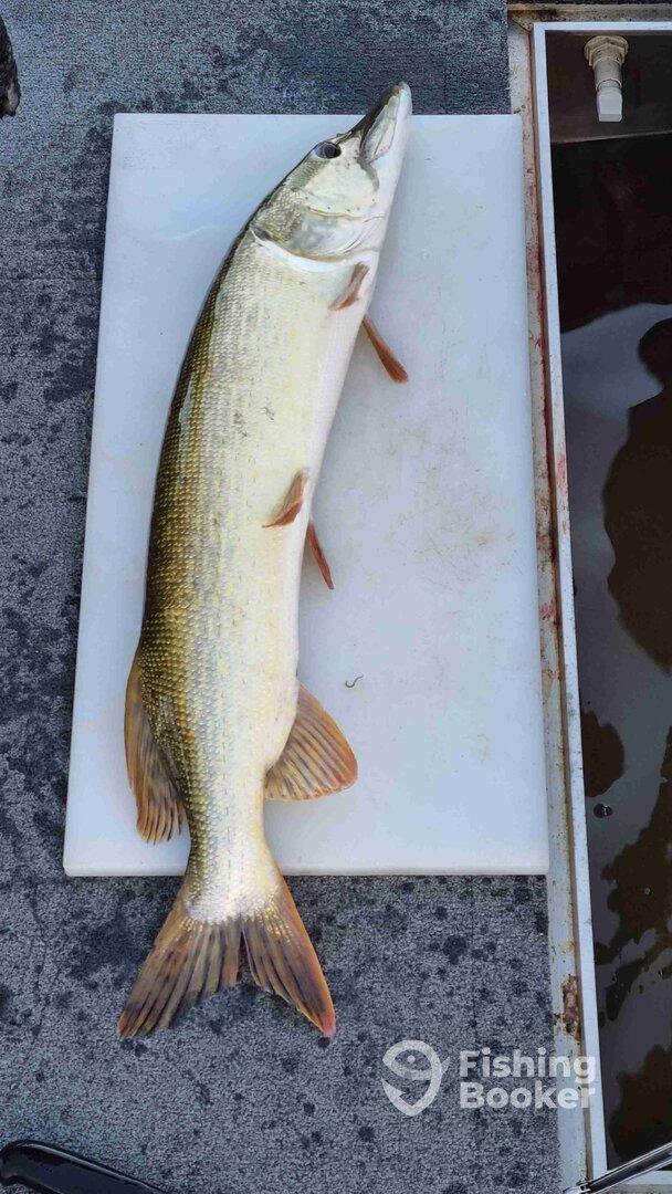 Great Day Outside with Fish Jumping on our hooks