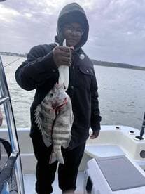 A young angler proudly displaying a freshly caught Black Drum while fishing on a boat.