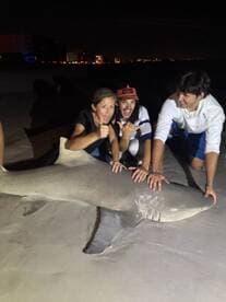 Group of excited anglers posing with a large shark on the beach at night, showcasing their catch after a thrilling fishing adventure.