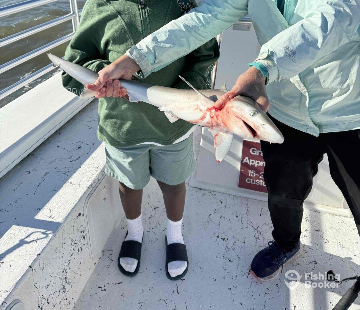 Great Morning Excursion