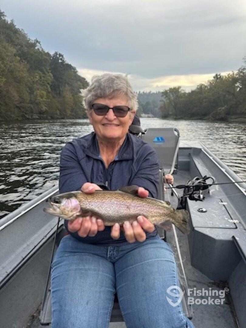 Many Fish, Beautiful Fish 