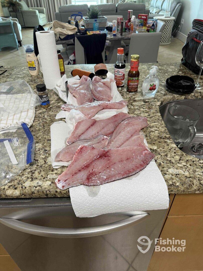 Great Snapper fishing