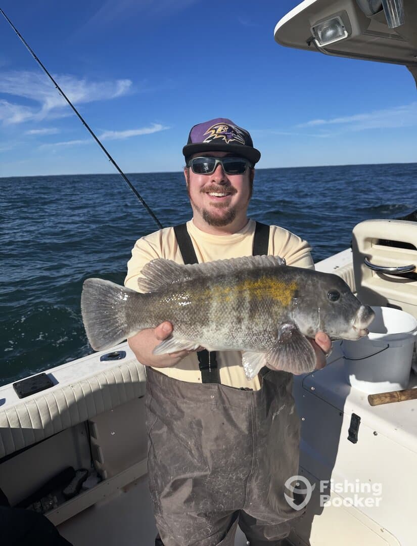 Crushed Blackfish