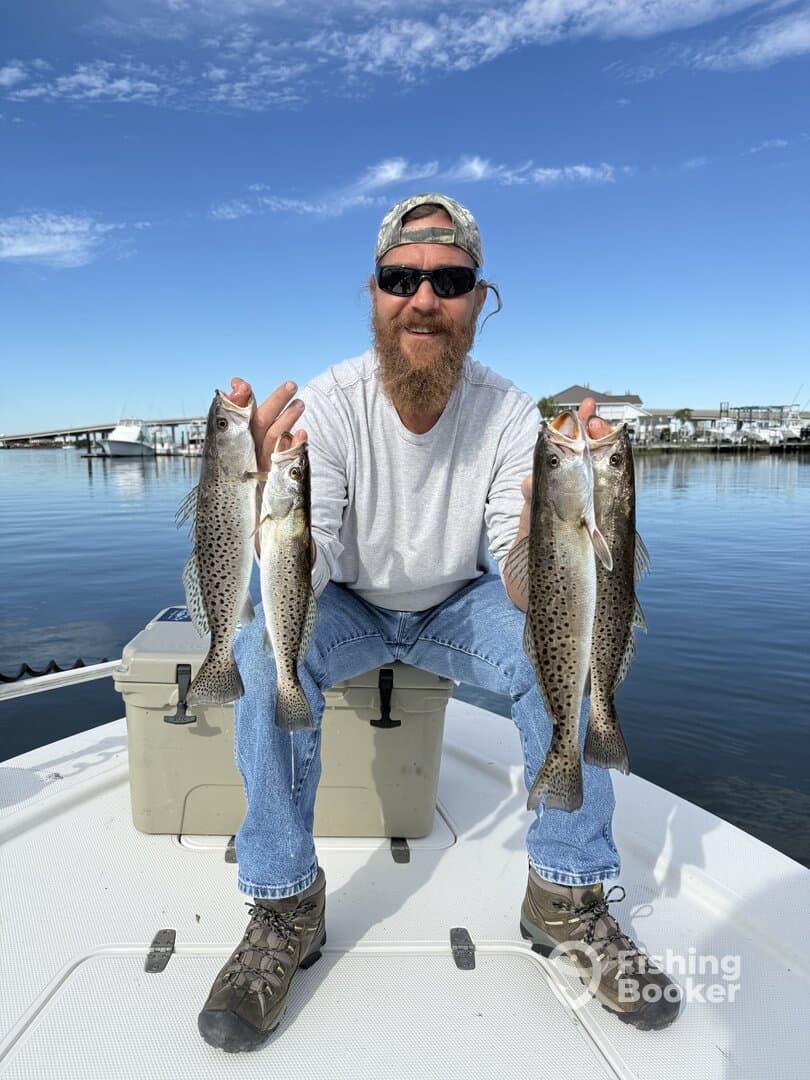Angler displaying a catch of four Speckled Trout while seated on a boat, with a marina backdrop under a clear blue sky.
