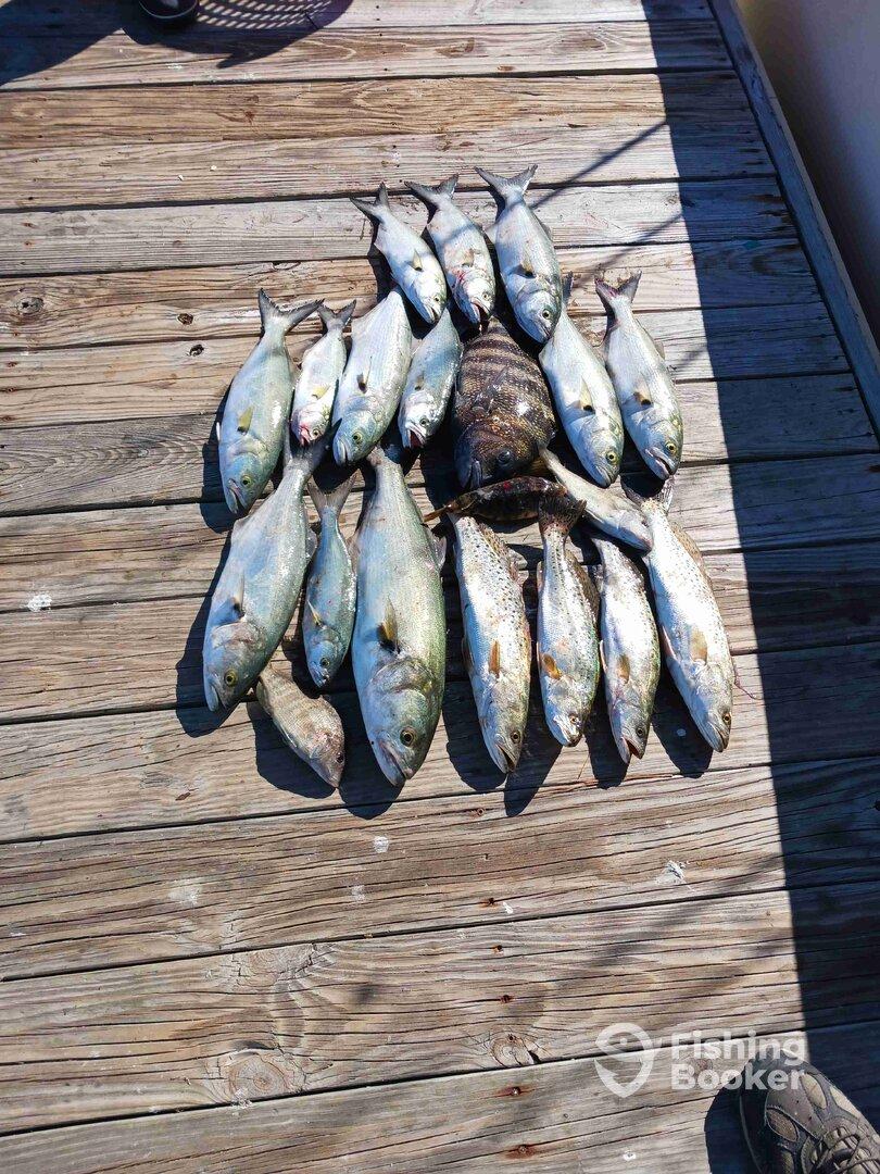 knows what he is doung!